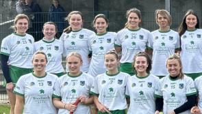 Limerick suffer defeat to Waterford in All-Ireland senior camogie championship