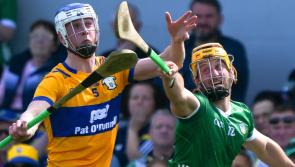 The experts' view ahead of Limerick's Munster SHC final with Clare 