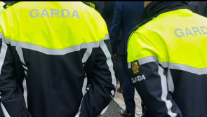 Gardaí stand down search for teenager boy missing from Laois for three days