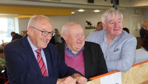 PICTURES: Second day of counting gets underway at Limerick Racecourse