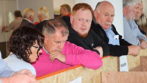 Adare-Rathkeale the first in County Limerick to fill all seats