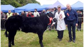 The legendary Charleville Agricultural Show returns this June 2024