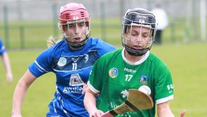 Limerick junior camogie side suffers championship defeat to Laois