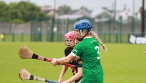 Tipperary test next for Limerick's senior camogie squad