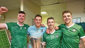 Limerick’s Munster Hurling Championship six in-a-row in numbers