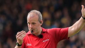 Limerick's Johnny Murphy appointed referee for All-Ireland SHC final