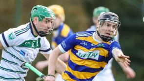PREVIEW: Team-by-team guide to the Limerick premier intermediate hurling championship 