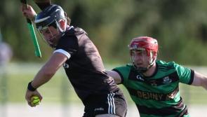 Newcastle West off to winning start in Limerick premier intermediate hurling championship