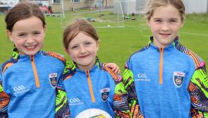 PICTURES: Young GAA players showcase skills at Cúl Camp at Monaleen GAA Club 