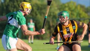 Garryspillane edge past Effin in thrilling Limerick premier intermediate hurling championship clash