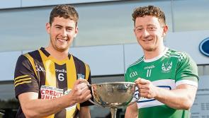 Effin and Garryspillane face-off in Limerick premier intermediate hurling championship