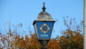 Gardaí appeal for witnesses as man killed after car enters canal 