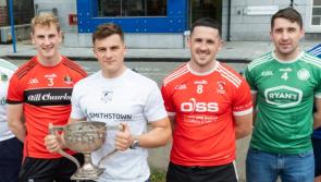 Team by team guide to Limerick senior hurling championship Group 1