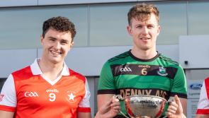 Bruff too good for Granagh-Ballingarry in Limerick premier intermediate hurling championship