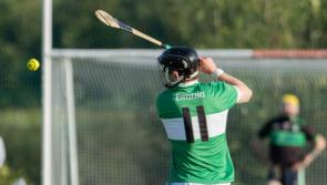 Effin claim win over Na Piarsaigh in Limerick premier intermediate hurling championship