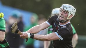 Newcastlewest too good for Glenroe in Limerick premier intermediate hurling championship