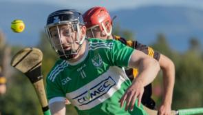 Clinical Effin score emphatic Limerick premier intermediate hurling championship win over Glenroe