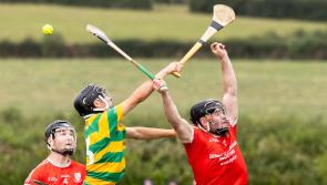 Monaleen too good for South Liberties in Group 2 of Limerick senior hurling championship