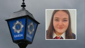 Gardaí stand down search for 16-year-old girl missing since Monday