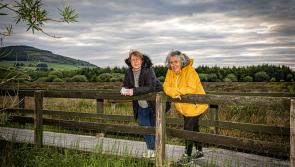 'Special' free events that explore all things nature take place in Limerick