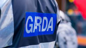 Gardaí search for witnesses after child allegedly assaulted by man in Ballymun