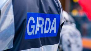 Gardaí renew appeal for information into fatal crash on the M50 between car and a motorbike