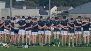 Limerick U14, U15 and U16 Hurling squads in action on Saturday 