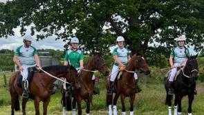 National Polocrosse event to take place in Limerick this weekend for the first time since 2017 