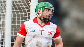 Limerick Premier Intermediate Hurling Championship reaches  crucial stage