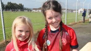 PICTURES: Supporters cheer on Patrickswell and Mungret St Paul's in Limerick senior hurling championship