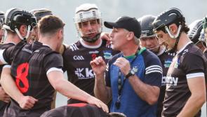 Newcastle West edge Na Piarsaigh in high-scoring Limerick Premier intermediate hurling championship clash