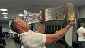 Limerick coach celebrates South Africa's Freedom Cup series win over All-Blacks