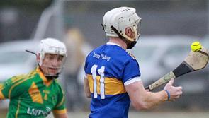 Limerick senior hurling championship reaches critical stage