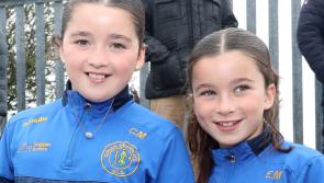 PICTURES: Huge crowds turn out to watch Ahane and Patrickswell in senior hurling championship 