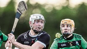Newcastle West too good for Effin in Limerick premier intermediate hurling championship