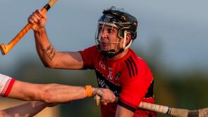 Adare retain senior status in Limerick hurling championship as South Liberties face drop
