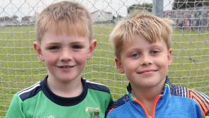 PICTURES: Ballybrown and Dromin-Athlacca supporters cheer on sides in Limerick senior hurling championship