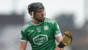 Limerick senior hurling championship quarter-finals take centre stage 