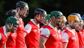 Bruff defeat Effin as both sides reach Limerick premier intermediate hurling semi-finals