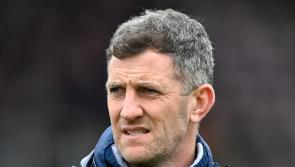 New-look Limerick minor hurling management team set to be ratified 