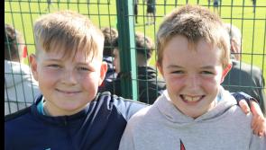 PICTURES: Supporters get behind Patrickswell and Monaleen in senior hurling championship quarter-final 