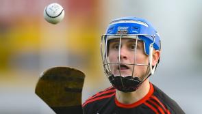 Team-by-team guide: What Limerick schools are in this season's Dr Harty Cup