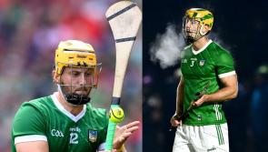 Limerick All-Ireland winners in Ireland squad for Shinty/Hurling international 