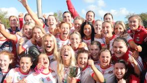 Croagh-Kilfinny secure senior status with Griffins Coaches Intermediate County Final victory 