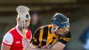 Garryspillane see off Bruff to reach Limerick Premier Intermediate Hurling final