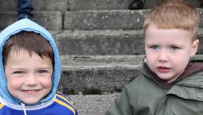 PICTURES: Supporters get behind Doon and Patrickswell in Limerick Senior Hurling Championship semi-final