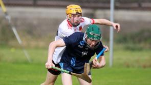 Ardscoil R&iacute;s have too much for Castletroy College in opening round of Harty Cup