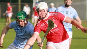 Live TV coverage confirmed for Limerick senior hurling final 
