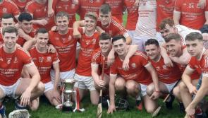 Monaleen see off Rathkeale to claim first Limerick Junior 'A' hurling title in 53 years