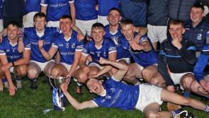 Croagh-Kilfinny secure historic Limerick intermediate hurling final win